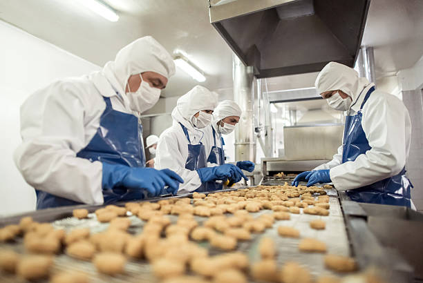 Pekerja di lini produksi makanan mengemas produk
